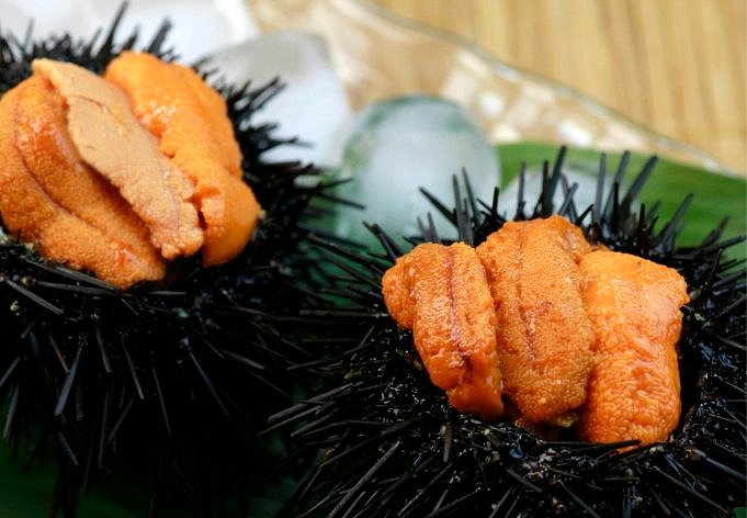 Combien De Temps Le Sashimi Se Conserve-t-il ? Une Information Important